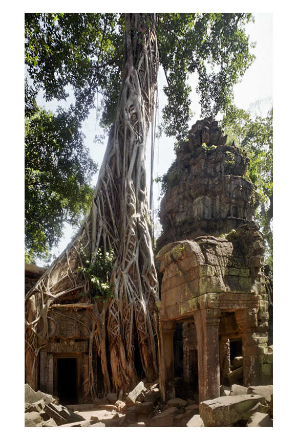 Angor Vat, Cambodia