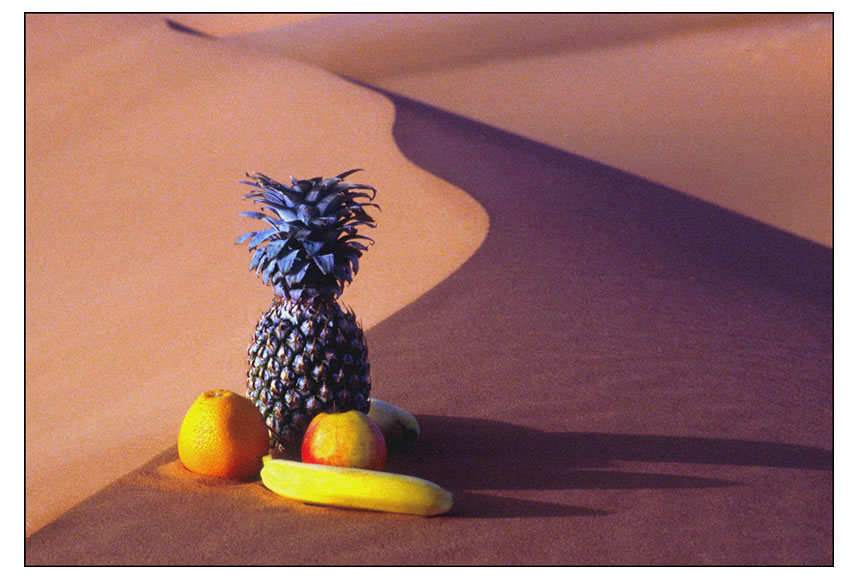 On the dunes in Saudi Arabia