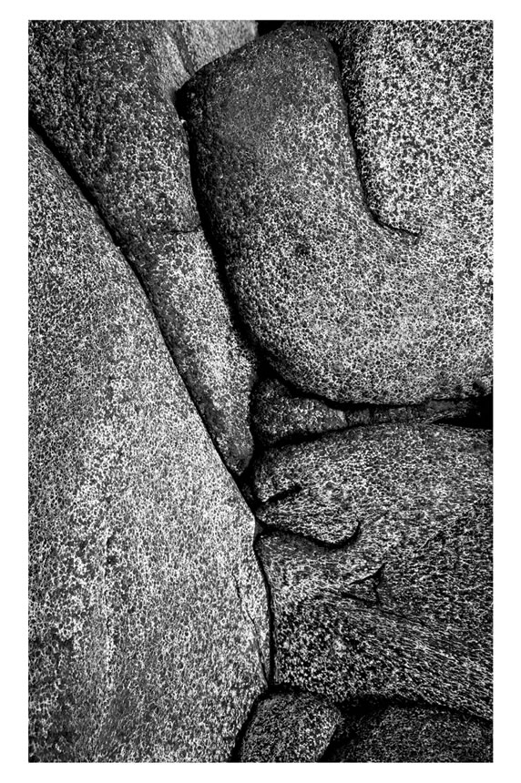 Forest rocks, La Palma, Canary Islands