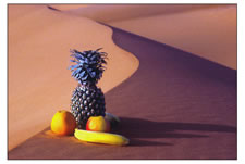 On the dunes in Saudi Arabia