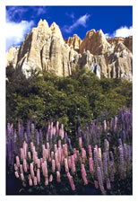 The Badlands, South Island, New Zealand