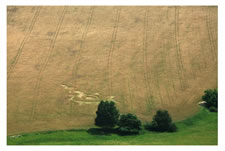 Crop circles below Bezdez Castle, Czech Republic