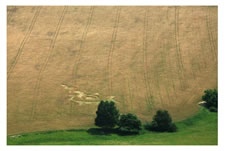 Crop circles below Bezdez Castle, Czech Republic